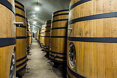 随时随地多人约会！《魔物学园》中文版正式登陆NS